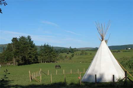 Glamping Sites in St Harmon