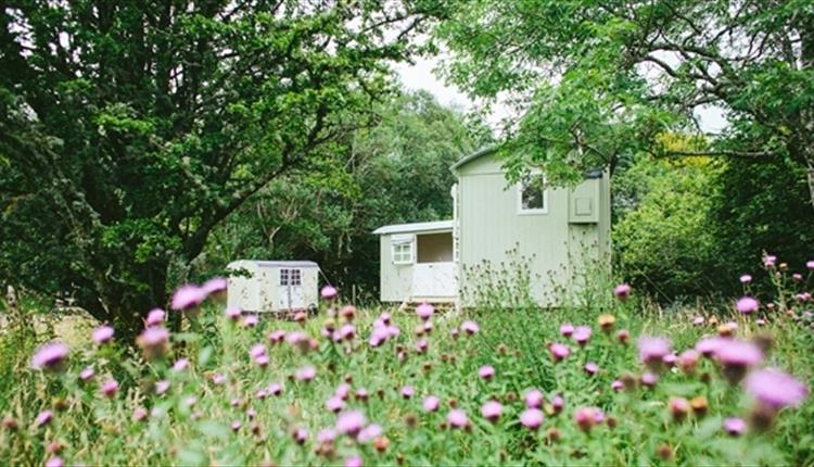 Glamping Sites in Betws-y-Coed